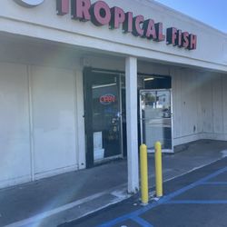 Tom's Tropical Fish - Tom's Tropical Fish Front Entrance