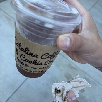 Catalina Coffee & Cookie - Cockroach - Coffee & Tea Near Me - Avalon, California Catalina Coffee & Cookie - Cockroach - Coffee & Tea Near Me - Avalon, California