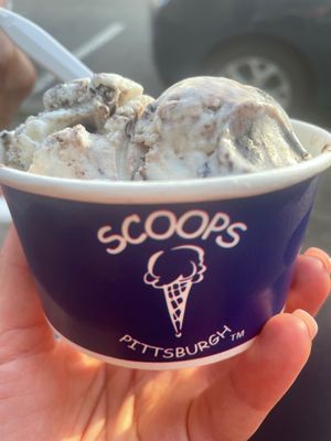 Scoops in Carnegie by null