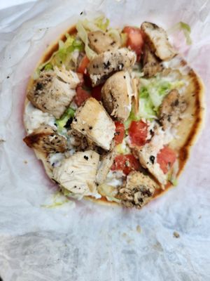 America's Dog by null