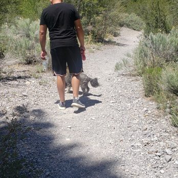 MT. Charleston Spring Mountains - Nice view (tee hee) - Hiking Near Me - Las Vegas, Nevada MT. Charleston Spring Mountains - Nice view (tee hee) - Hiking Near Me - Las Vegas, Nevada