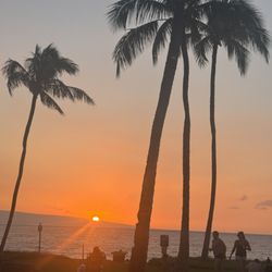 Maui Sunset Taxi