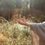 Photo of Jennifer Heminger Wellness