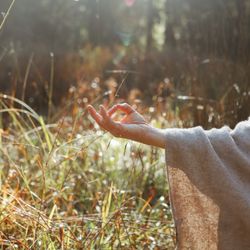 Jennifer Heminger Wellness - a quiet morning in Fairfax, California.