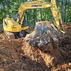 RichCo Excavating - Stump removal