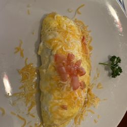 Downtown Diner - Worlds smallest omelette with cold tomatoes