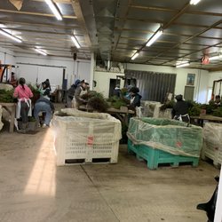 Northern Pines Nursery - Work room