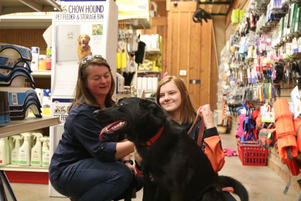 Russell Feed Supply 1312 Nw Parkway St Azle Tx Pet Shops Mapquest Russell Feed Supply 1312 Nw Parkway St Azle Tx Pet Shops Mapquest