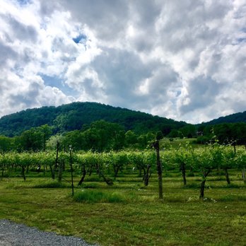 DuCard Vineyards - More grapevines! - Wineries Near Me - Etlan, Virginia