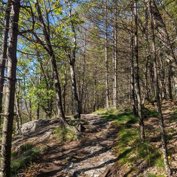 Sabattus Mountain - Hiking Near Me - Lovell, Maine