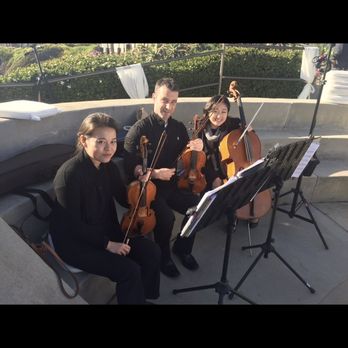 OC Strings - On time, all set up and ready to go. Absolutely love it. - Musicians Near Me