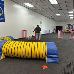 Beginner Agility