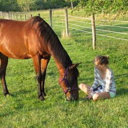 Happy Herd Stables