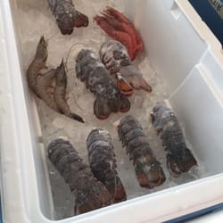 Seaview Crab Company - Lobster tails and prawns