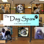 Photo of The Day Spaw