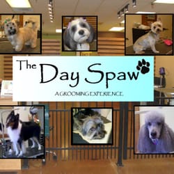 The Day Spaw