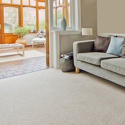 Mr. Steamer Carpet & Upholstery Cleaning, Inc. - No one gets it cleaner than Mr. Steamer!