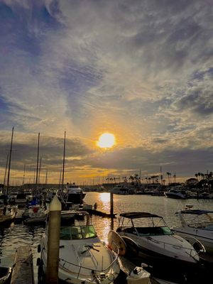 Marina Del Rey Marina by null