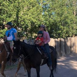 Miller Horse Farm & Riding Academy