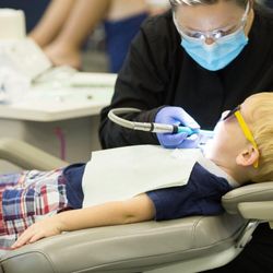 Spring and Sprout Pediatric Dentistry - Spring and Sprout Pediatric Dentistry Office