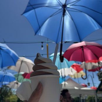 Meadowlark Dairy - Large Chocolate vanilla swirl in a cup - Ice Cream & Frozen Yogurt Near Me - Pleasanton, California