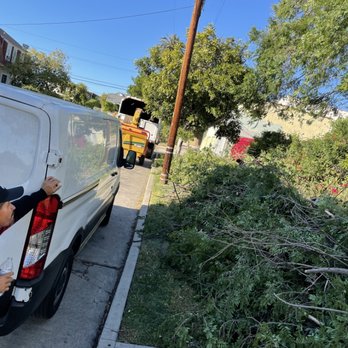The Weed Man - Awaiting the clean up. - Tree Services Near Me The Weed Man - Awaiting the clean up. - Tree Services Near Me