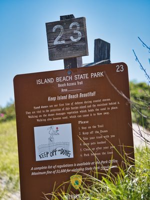 Island Beach State Park by null
