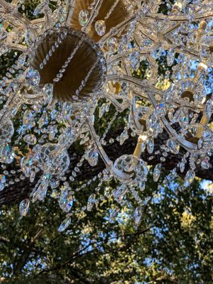 Harry P Leu Gardens by null