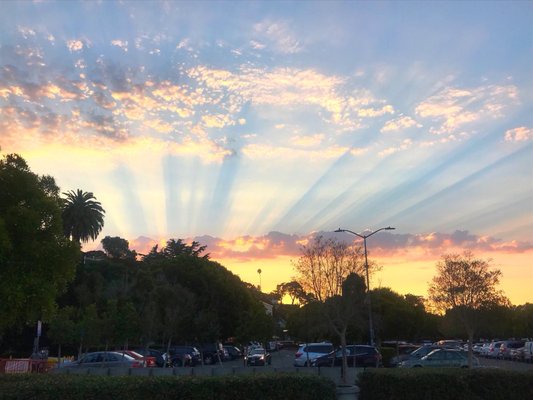 Viña del Mar Park by null