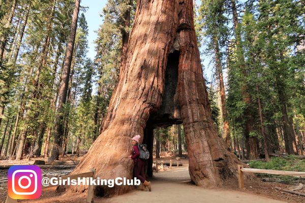 Wawona Campground by null