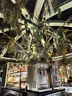 Swingers NoMad by null