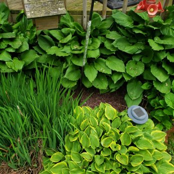 Krantz Cleaning - Repurposing your Garden's features in a cost-effective & convenient manner saves you money! - Home Cleaning Near Me Krantz Cleaning - Repurposing your Garden's features in a cost-effective & convenient manner saves you money! - Home Cleaning Near Me