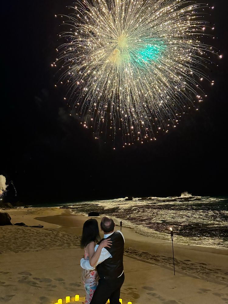 Desiree Fleischmann Ballroom Dance Logo