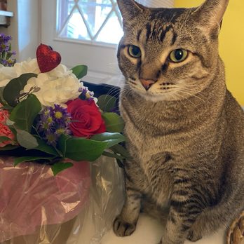 Shakopee Florist - Florists Near Me - Shakopee, Minnesota Shakopee Florist - Florists Near Me - Shakopee, Minnesota