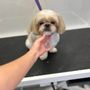 Photo of Pink Bone Grooming Salon
