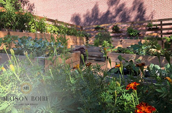 Maison Boire by null