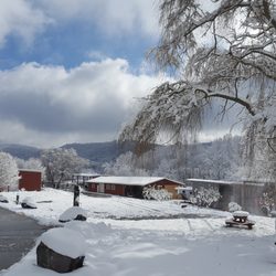 Walnut Hollow Ranch