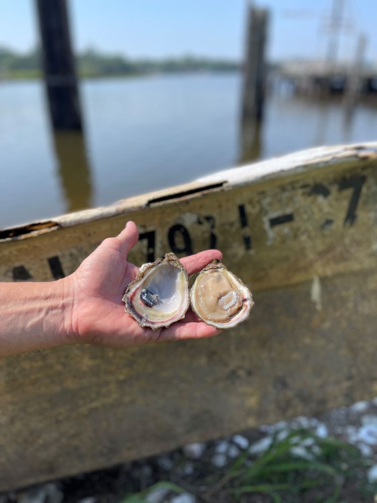 BON SECOUR FISHERIES Updated September 2024 11 Photos 17449 County Road 49 S, Bon Secour