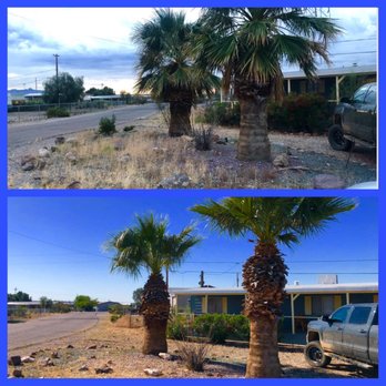 Speedy Services - Speedy services - Landscaping Near Me Speedy Services - Speedy services - Landscaping Near Me