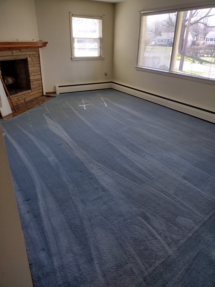 READY2GO CARPET CLEANING & UPHOLSTERY CLEANING Updated October 2024