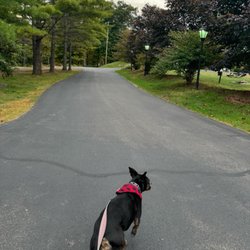 Emerson - Walking around.