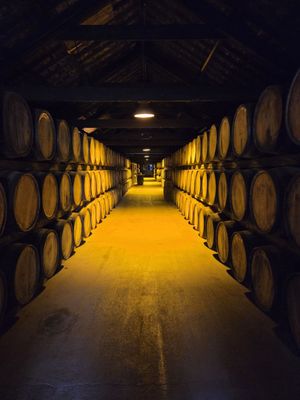 Midleton Distillery Experience by null