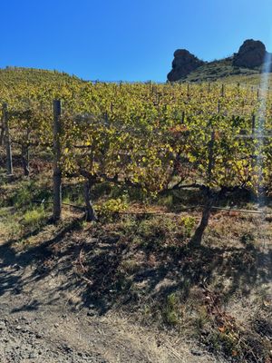 Saddlerock Ranch by null