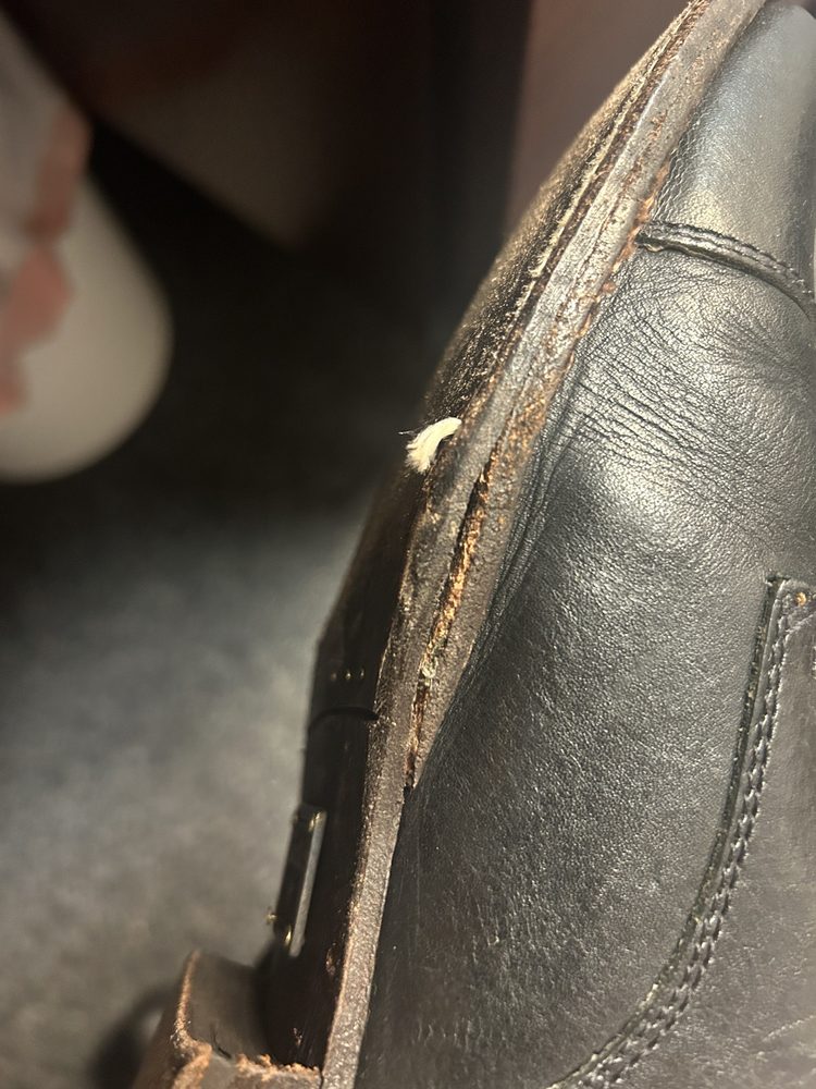 THE TOWN COBBLER Updated June 2024 39 Reviews 15 Albion St