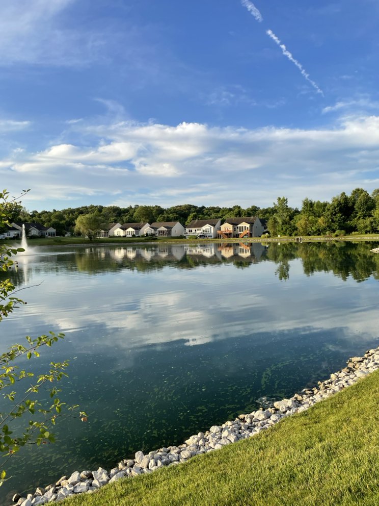 Lynette Rae Rapid Transformational Therapy - grief counselor in Maineville, OH