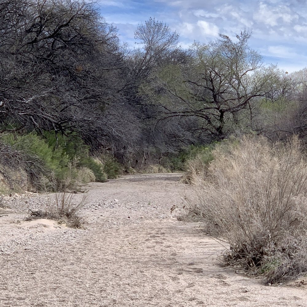 Gabe Zimmerman Davidson Canyon Trailhead - Dry bed. - Hiking Near Me - Vail, Arizona Gabe Zimmerman Davidson Canyon Trailhead - Dry bed. - Hiking Near Me - Vail, Arizona