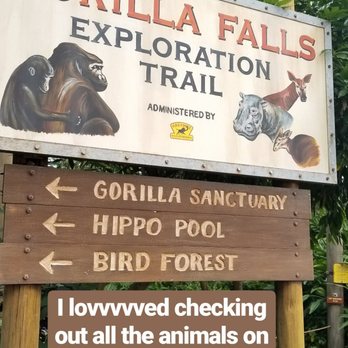 Gorilla Falls Exploration Trail - Amusement Parks Near Me - Lake Buena Vista, Florida
