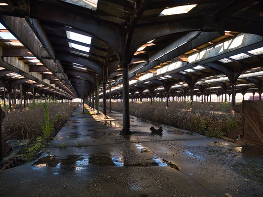 Liberty State Park by null