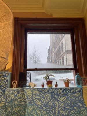 Life Alive Organic Cafe Central Square by null Life Alive Organic Cafe Central Square by null