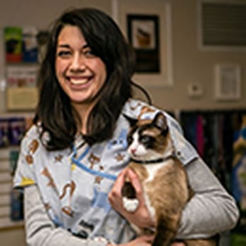 Sandy Animal Clinic - Laura, Technician - Veterinarians Near Me - Sandy, Utah Sandy Animal Clinic - Laura, Technician - Veterinarians Near Me - Sandy, Utah